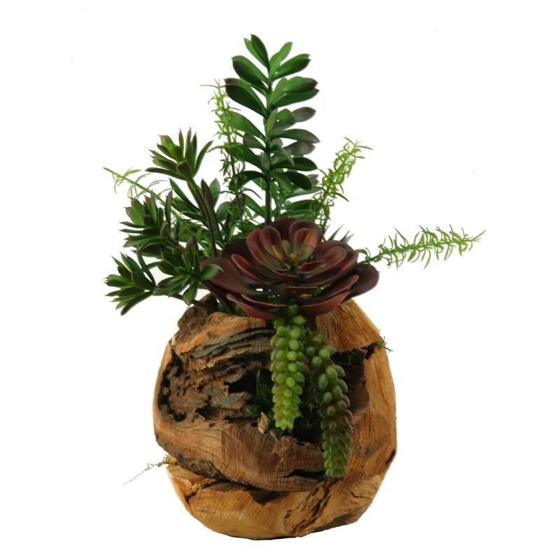 D&W Silks Jade Plant, Aloe, Echeveria and Mini Dracaena in Wooden Root Ball Planter - Brown