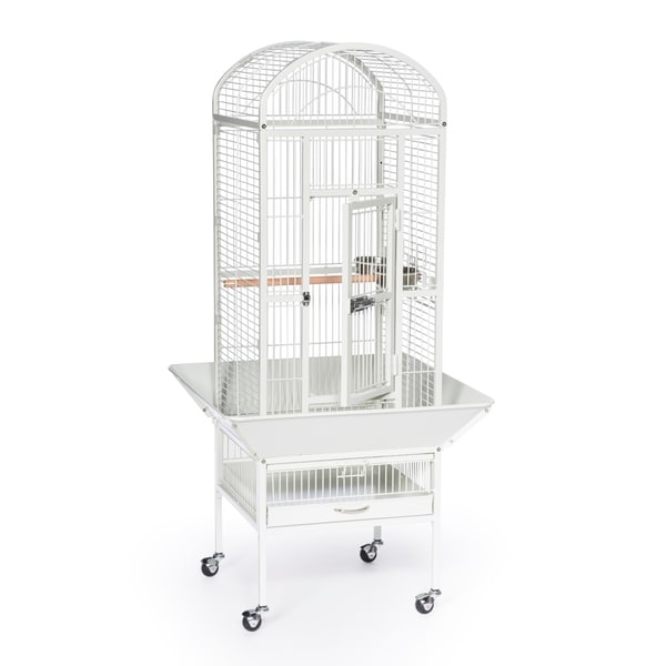 small black bird cage