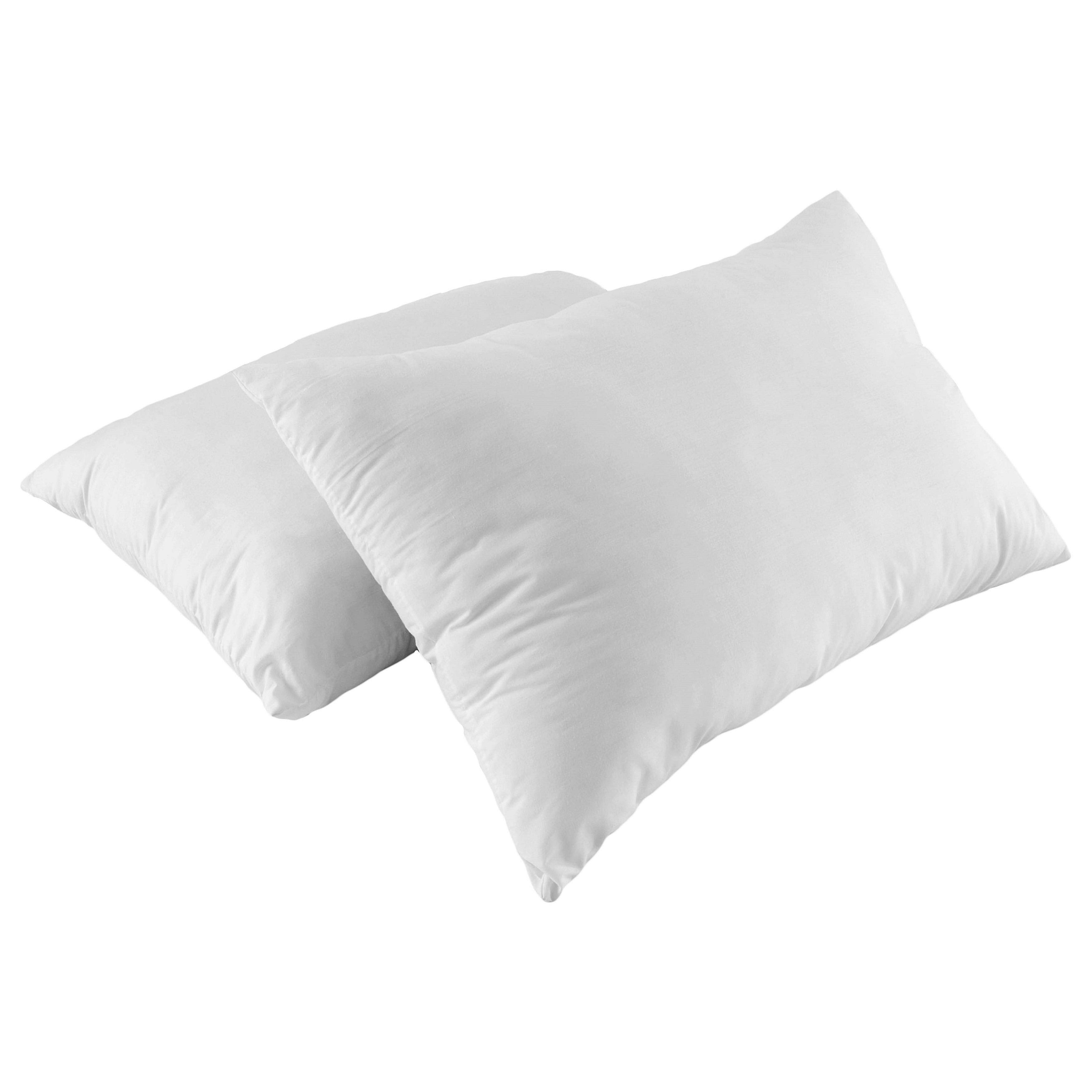 https://ak1.ostkcdn.com/images/products/12863996/Jumbo-White-Nano-Feather-Pillow-Set-of-2-7bfb1bae-eebf-4d27-949d-47ae7416e757.jpg