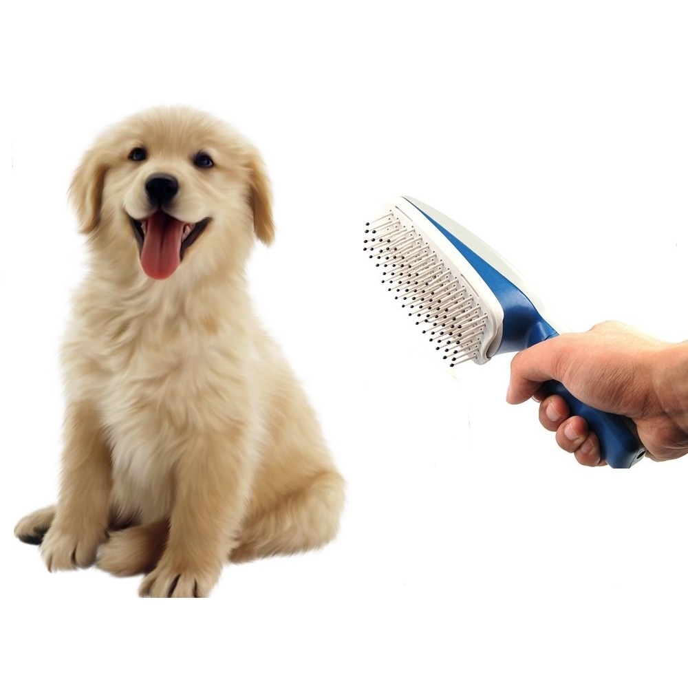 dog and cat grooming