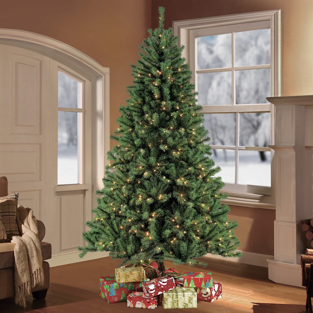 Shop Puleo International 9 Foot Pre Lit Northern Fir Artificial