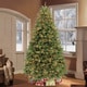 preview thumbnail 2 of 0, Puleo International 7.5-foot Pre-lit Douglas Fir Artificial Christmas Tree