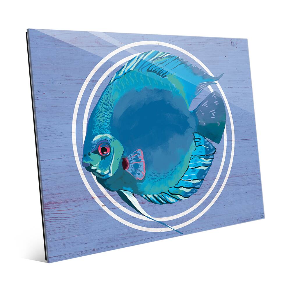 Rainbow Fish Cyan Acrylic Wall Art
