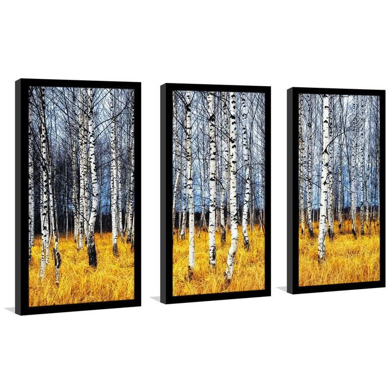 "Birch Trees 2 Birch Trees" Framed Plexiglass Wall Art Set of 3