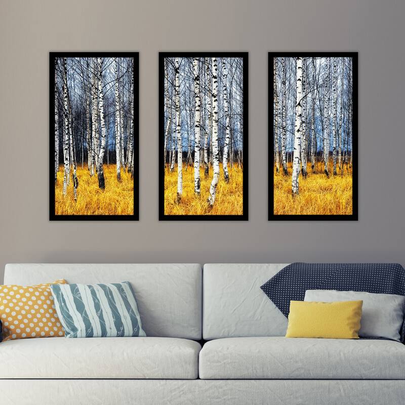 "Birch Trees 2 Birch Trees" Framed Plexiglass Wall Art Set of 3