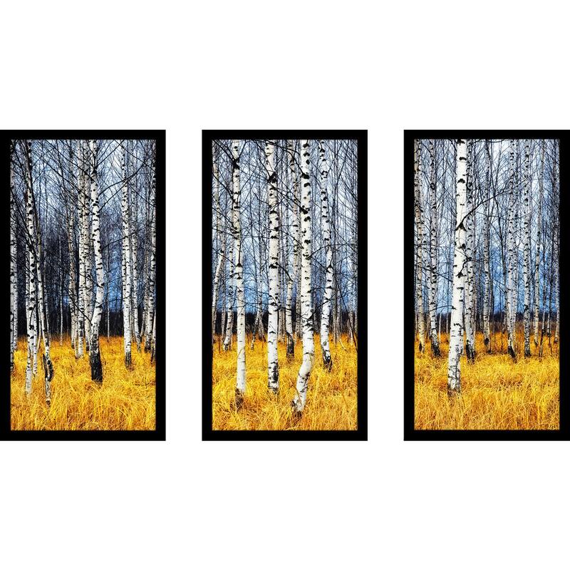 "Birch Trees 2 Birch Trees" Framed Plexiglass Wall Art Set of 3