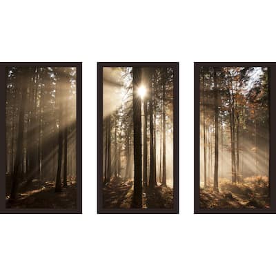 "Autumn morning in forest" Framed Plexiglass Wall Art Set of 3