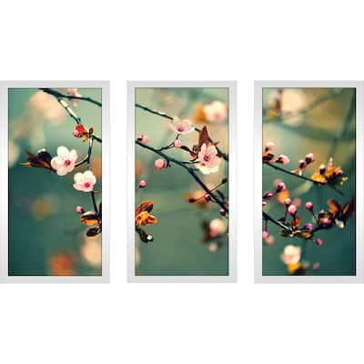 "Floral Photography" Framed Plexiglass Wall Art Set of 3