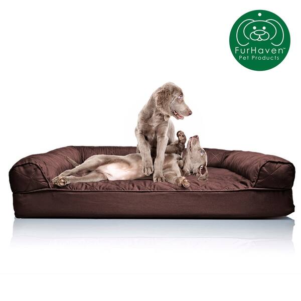 Shop Furhaven Pet Bed Quilted Orthopedic Sofa Dog Bed Free