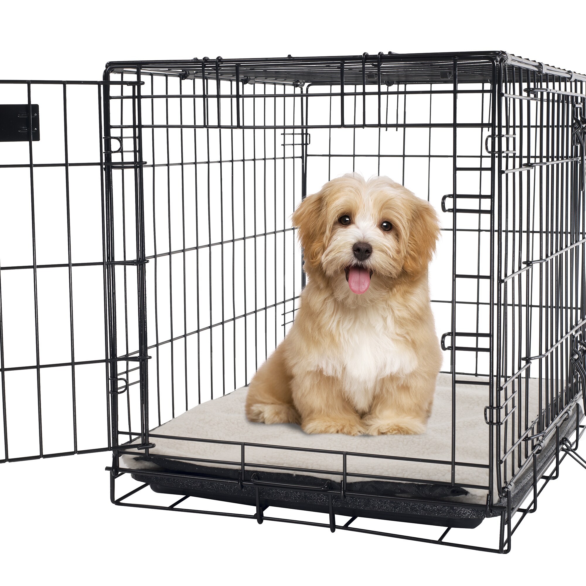 medium dog crate pad