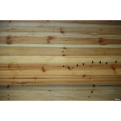 Handmade Parvez Taj - in Formation Print on Natural Pine Wood