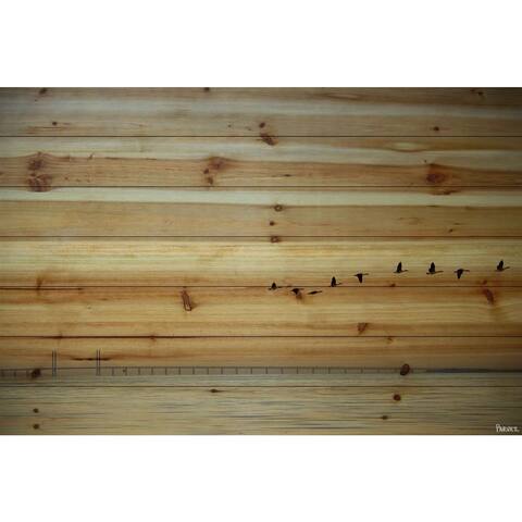 Handmade Parvez Taj - in Formation Print on Natural Pine Wood