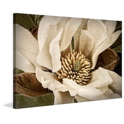 Marmont Hill - 'Classic Magnolia II' Painting Print on Wrapped Canvas