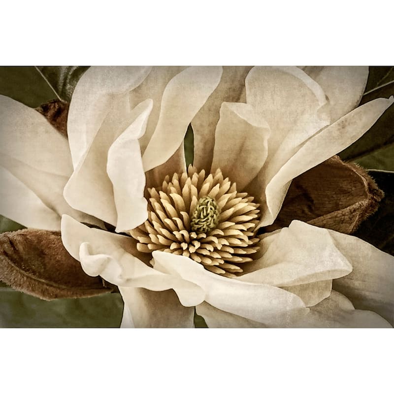 Marmont Hill - 'Classic Magnolia II' Painting Print on Wrapped Canvas