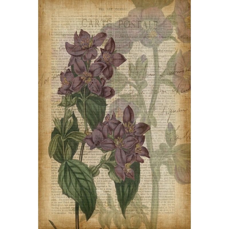 Marmont Hill - 'Fucshia Flowers II' Painting Print on Wrapped Canvas - Multi-Color