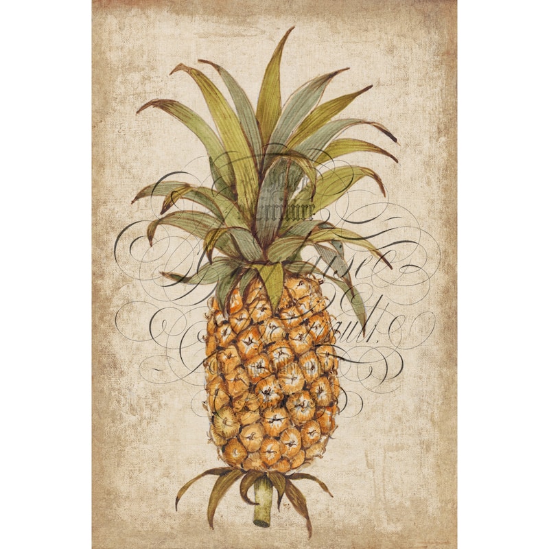Marmont Hill - 'Pineapple Study II' Painting Print on Wrapped Canvas - Multi-Color