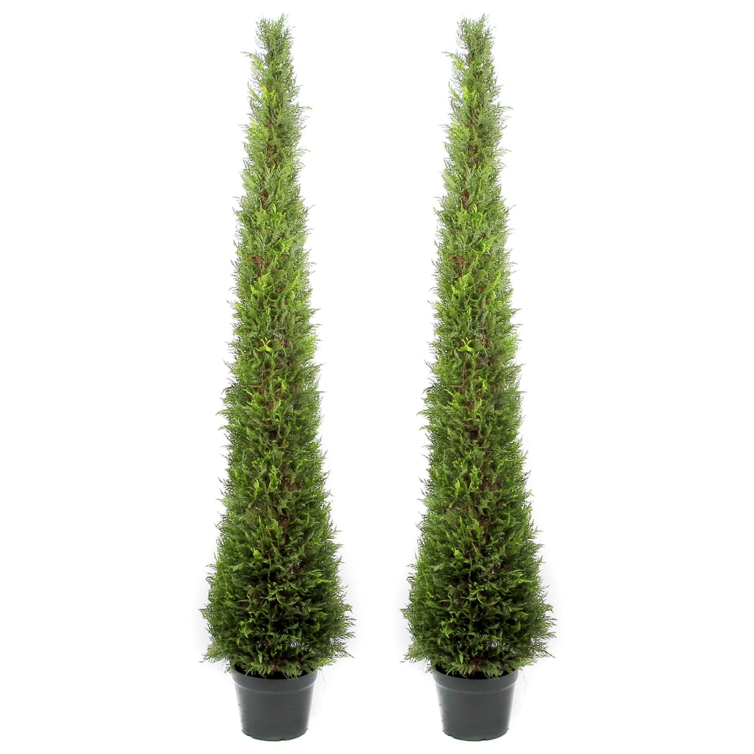 Admired by Nature 6-foot Artificial Cypress Topiary in Resin Pot (Set of 2) - GTR4630-NATURAL-2