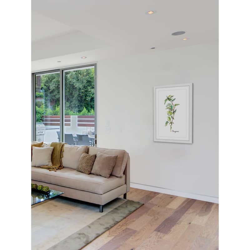 Marmont Hill - 'Herb Oregano' by Rachel Byler Framed Painting Print - Multi-Color