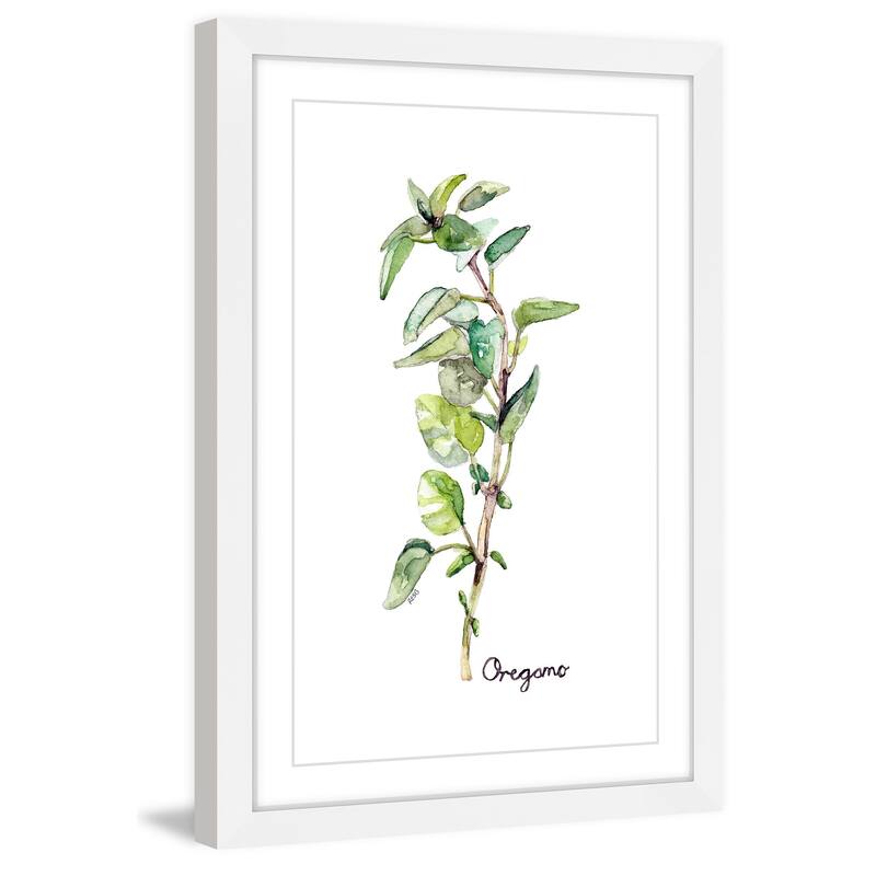 Marmont Hill - 'Herb Oregano' by Rachel Byler Framed Painting Print - Multi-Color