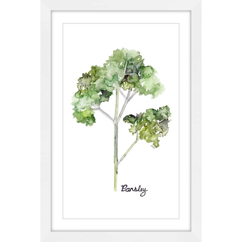 Marmont Hill - 'Herb Parsley' by Rachel Byler Framed Painting Print - Multi-Color