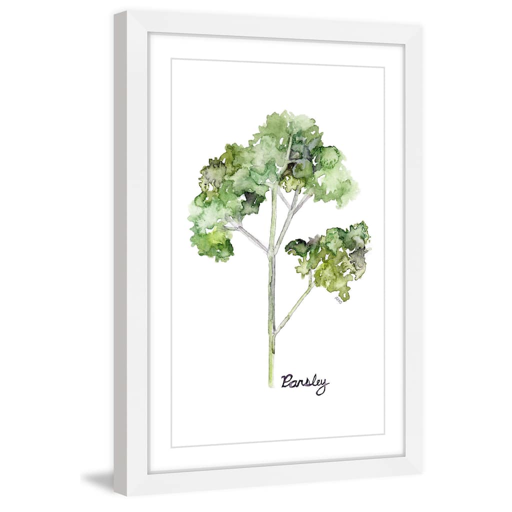 Marmont Hill - 'Herb Parsley' by Rachel Byler Framed Painting Print - Multi-Color