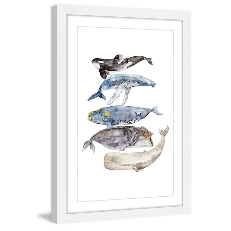 Marmont Hill - 'Whale Species' by Rachel Byler Framed Painting Print - Multi-Color