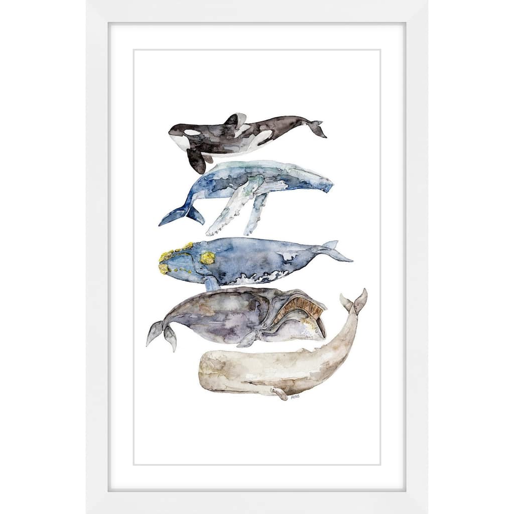 Marmont Hill - 'Whale Species' by Rachel Byler Framed Painting Print - Multi-Color