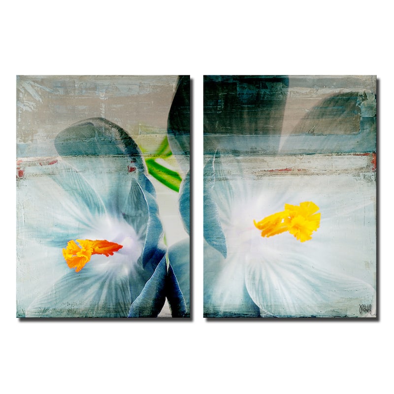 Ready2HangArt 'Painted Petals XX' 2-Piece Canvas Wall Art Set