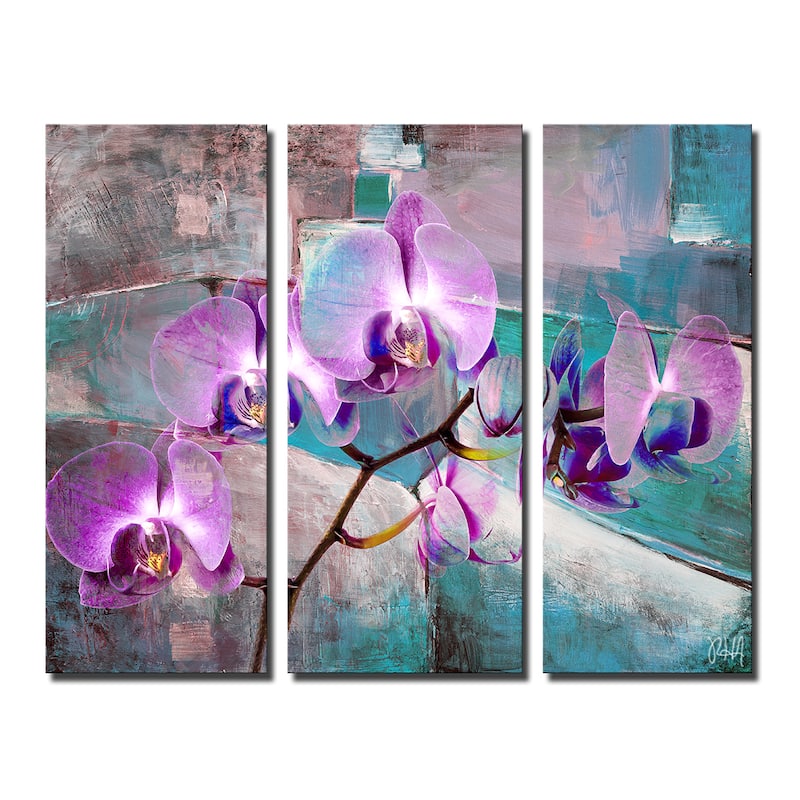Ready2HangArt 'Painted Petals XIX' 3-Piece Canvas Wall Art Set