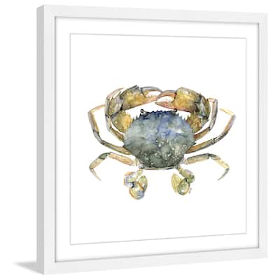 Marmont Hill - 'Blue Crab' by Rachel Byler Framed Painting Print - Multi-Color