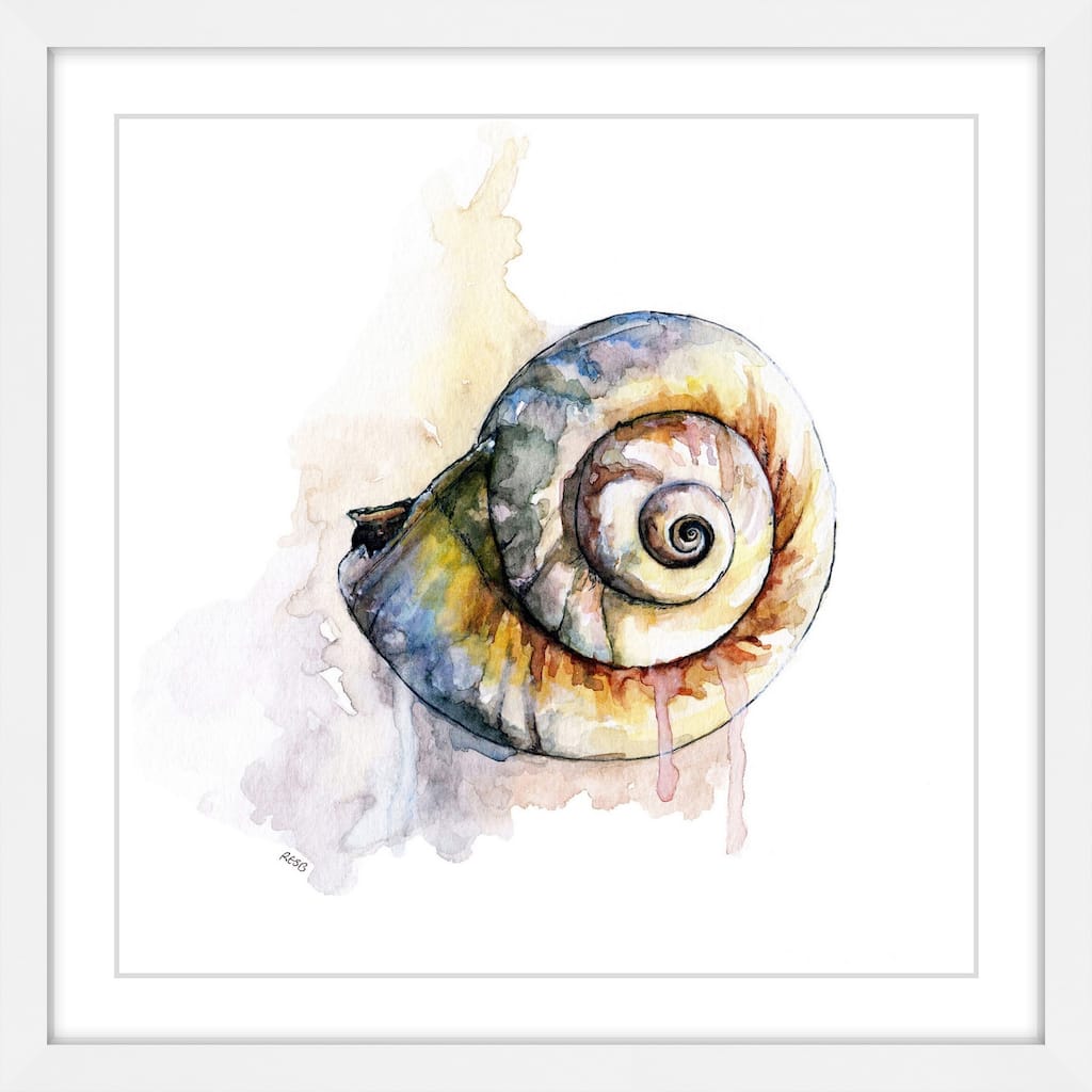 Marmont Hill - 'Snail Shell' by Rachel Byler Framed Painting Print - Multi-Color