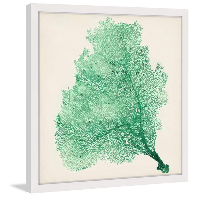Marmont Hill - 'Sea Fan VII' Framed Painting Print - Multi-Color