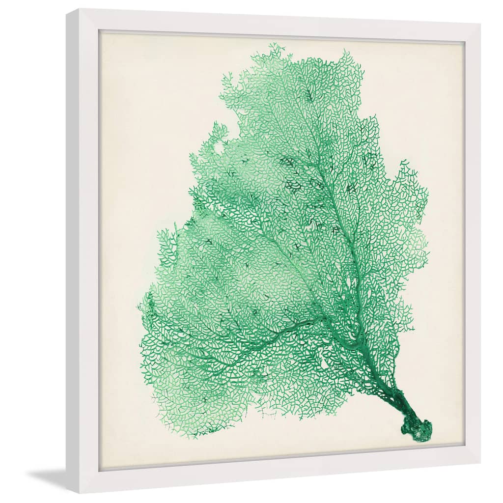 Marmont Hill - 'Sea Fan VII' Framed Painting Print - Multi-Color