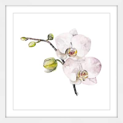 Marmont Hill - 'Orchid' by Rachel Byler Framed Painting Print - Multi-Color