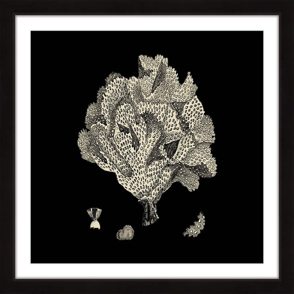 Marmont Hill - 'Black & Tan Coral IV' Framed Painting Print - Multi-Color