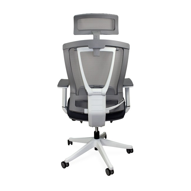 Axis Symmetry Study Buddy Office Chair - Bed Bath & Beyond - 18705070