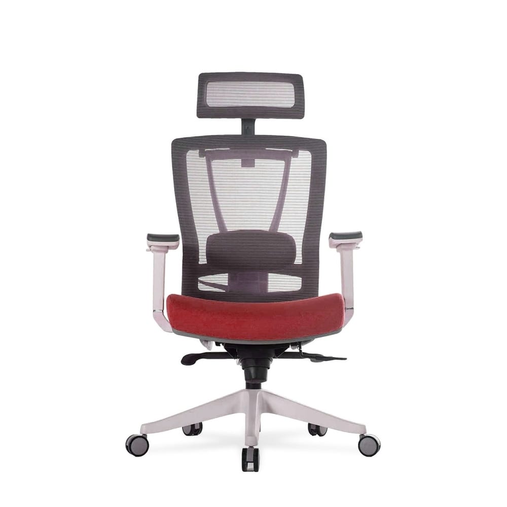 autonomous ergochair  premium ergonomic office chair