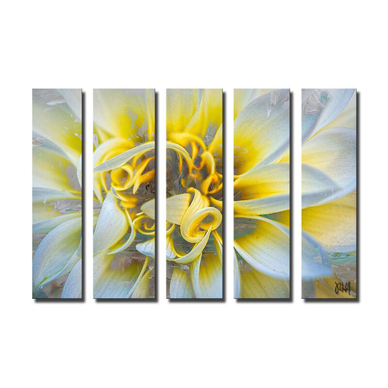 Ready2HangArt 'Painted Petals XXXVII' 5-Piece Canvas Wall Art Set