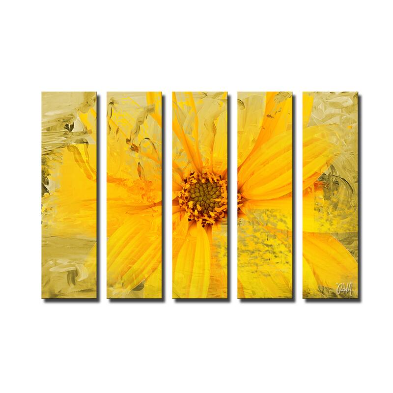 Ready2HangArt 'Painted Petals XXXVI' 5-Piece Canvas Wall Art Set