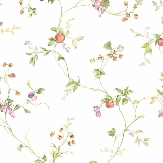 Mini Fruit Trail Greenacres 'Fruit Vine' Clear Vinyl Wallpaper