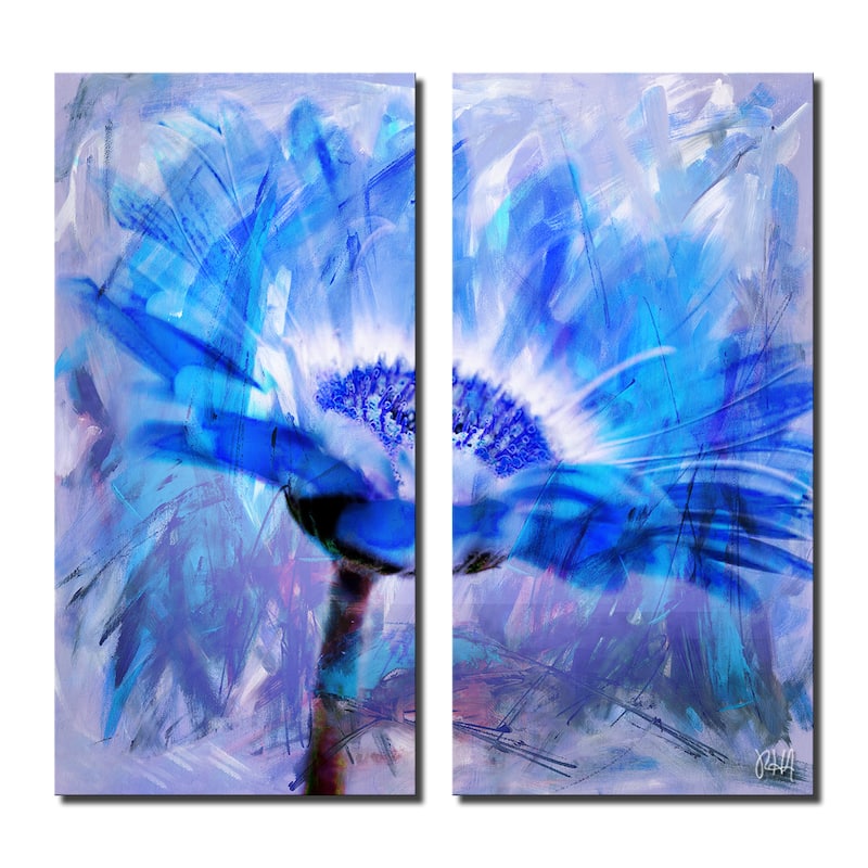 Ready2HangArt 'Painted Petals XLII' 2-Piece Canvas Wall Art Set