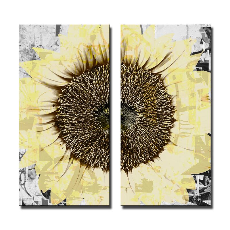 Ready2HangArt 'Painted Petals CIV' 2-Piece Canvas Wall Art Set