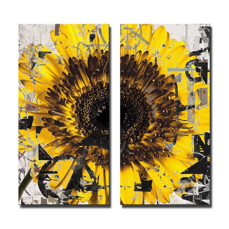 Ready2HangArt 'Painted Petals CIII' 2 Piece Canvas Wall Art Set
