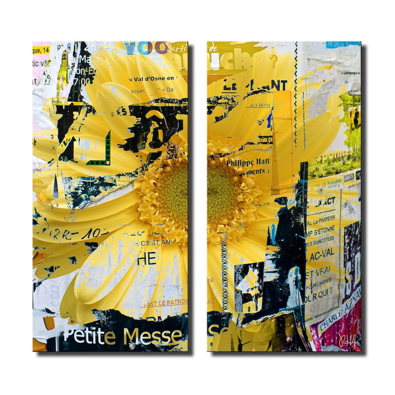 Ready2HangArt 'Painted Petals XCVI' 2-Piece Canvas Wall Art Set