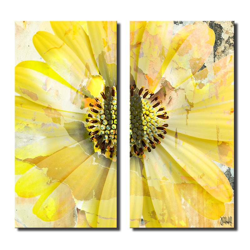 Ready2HangArt 'Painted Petals XCV' 2 Piece Canvas Wall Art Set