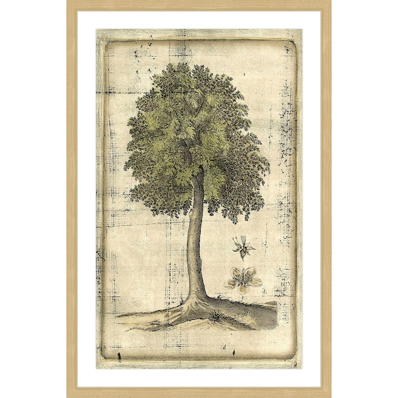 Marmont Hill - 'Fruitful Realm II' Framed Painting Print - Multi-Color