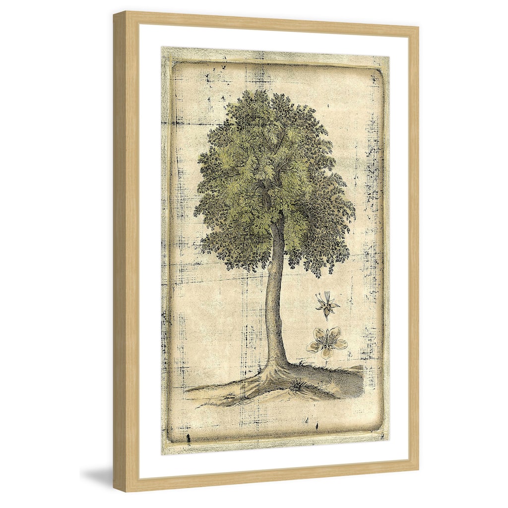 Marmont Hill - 'Fruitful Realm II' Framed Painting Print - Multi-Color