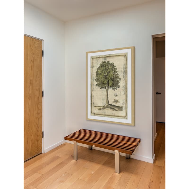 Marmont Hill - 'Fruitful Realm II' Framed Painting Print - Multi-Color