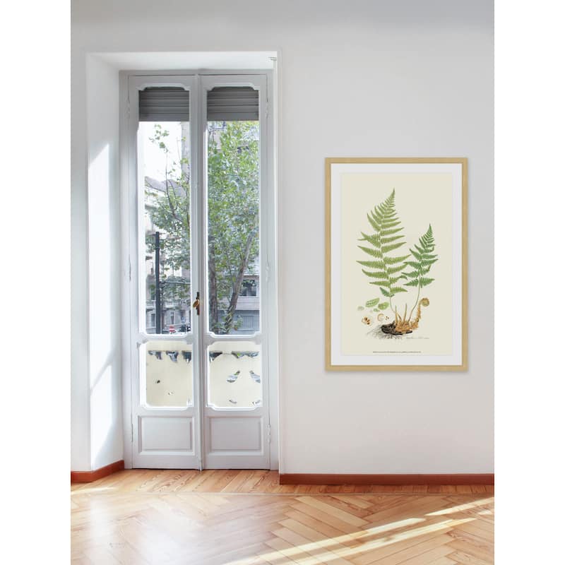 Marmont Hill - 'Curtis Ferns II' Framed Painting Print - Multi-Color