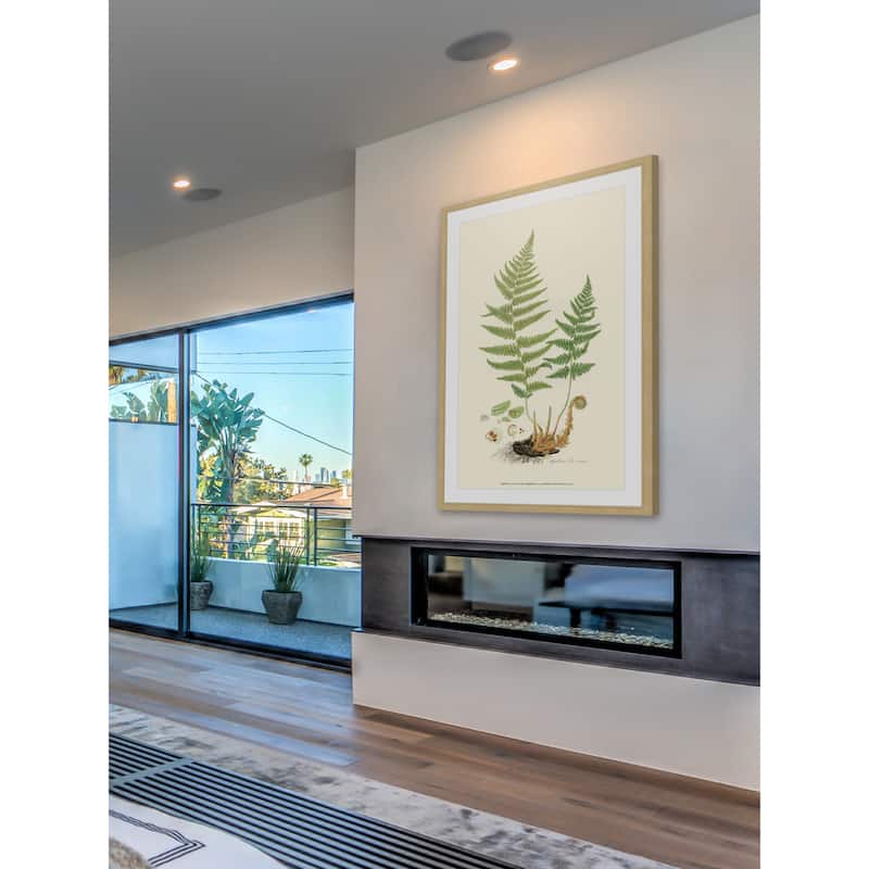 Marmont Hill - 'Curtis Ferns II' Framed Painting Print - Multi-Color